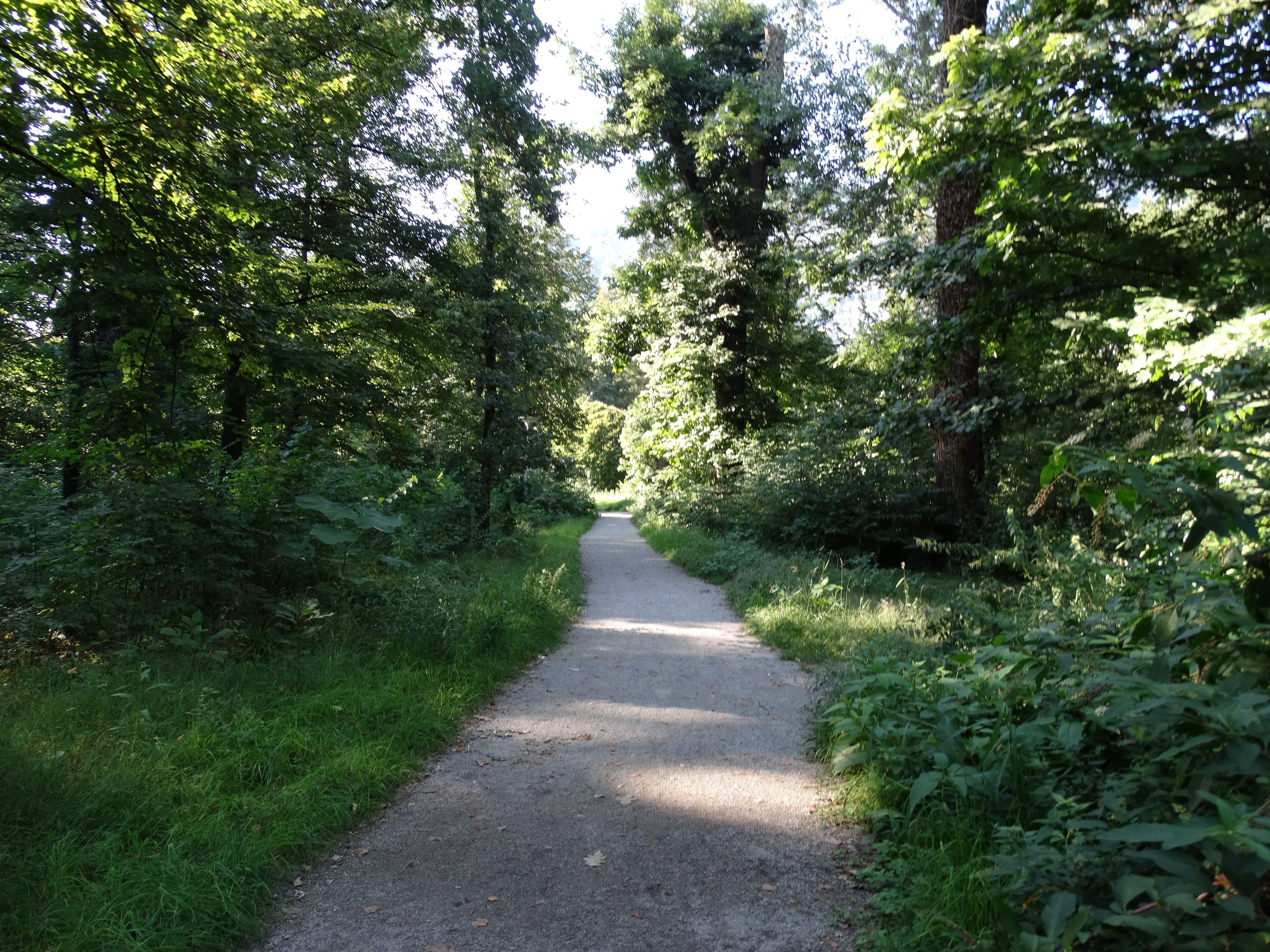 Photo - Hotel Excelsior