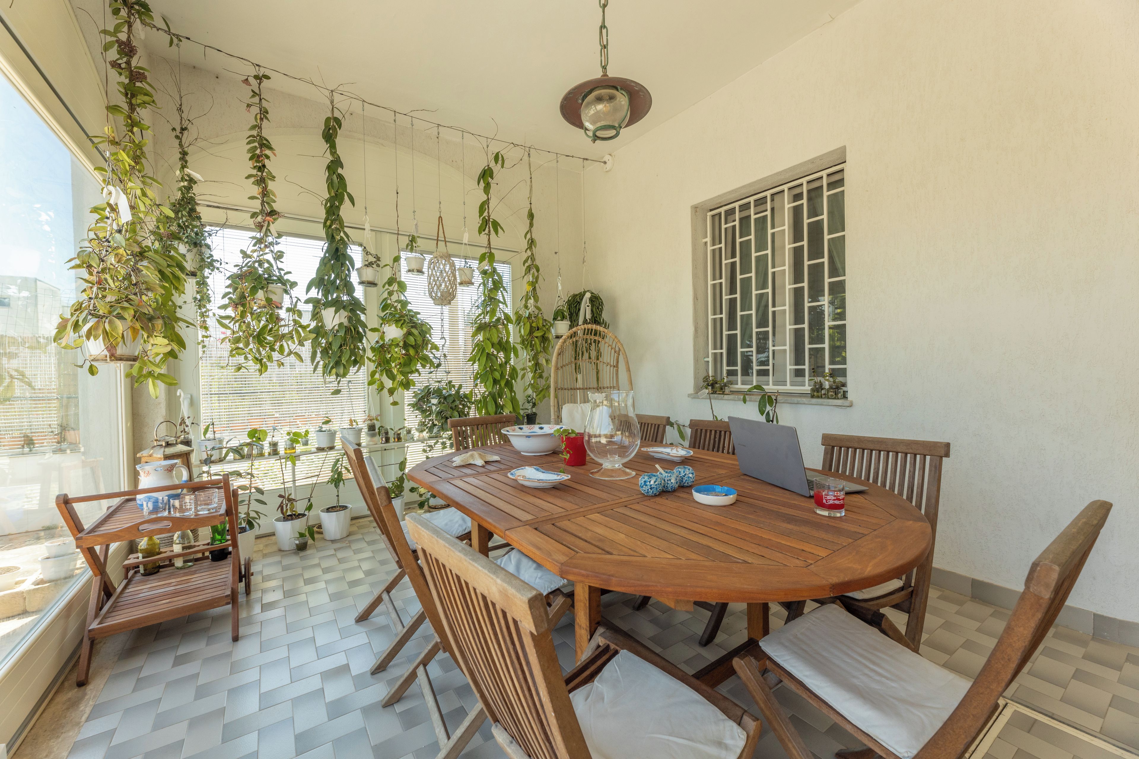 Un comedor con una mesa de madera, sillas y plantas colgantes.