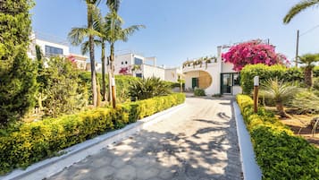 Un camino pavimentado que lleva a un edificio con entrada redonda, rodeado de abundante vegetación y palmeras.