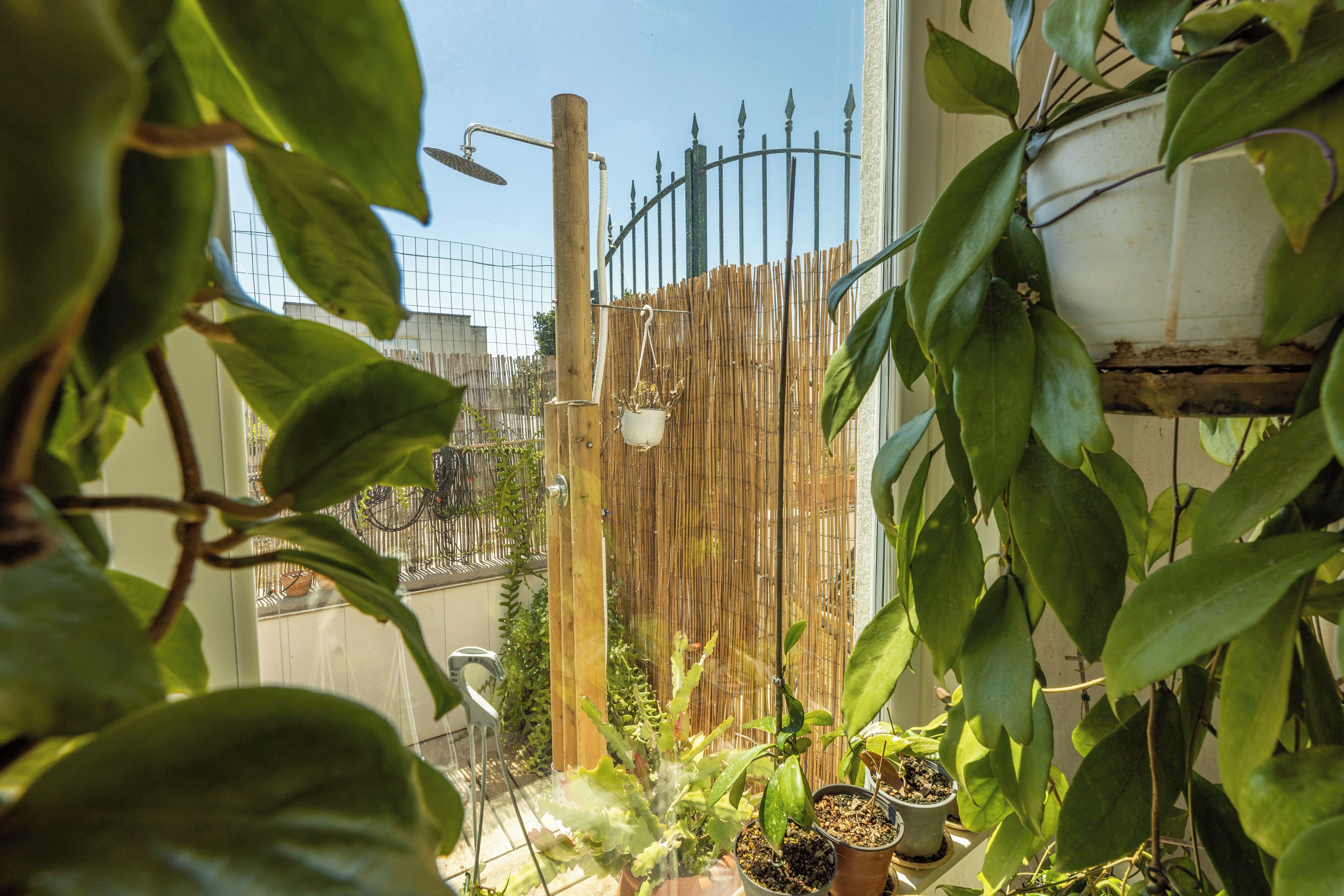 Une vue à travers une fenêtre, avec différentes plantes en pot, une clôture en bambou et une porte en métal en arrière-plan.