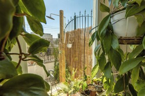 Une vue à travers une fenêtre, avec différentes plantes en pot, une clôture en bambou et une porte en métal en arrière-plan.