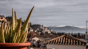 Una planta de aloe vera en maceta al frente, con vista a un pueblo y montañas al fondo.
