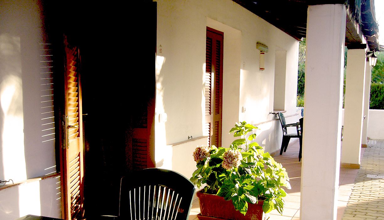 Un espacio al aire libre cubierto con una silla y una planta en maceta.