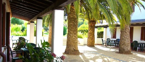 An outdoor patio area with palm trees, covered seating, and a brick floor.
