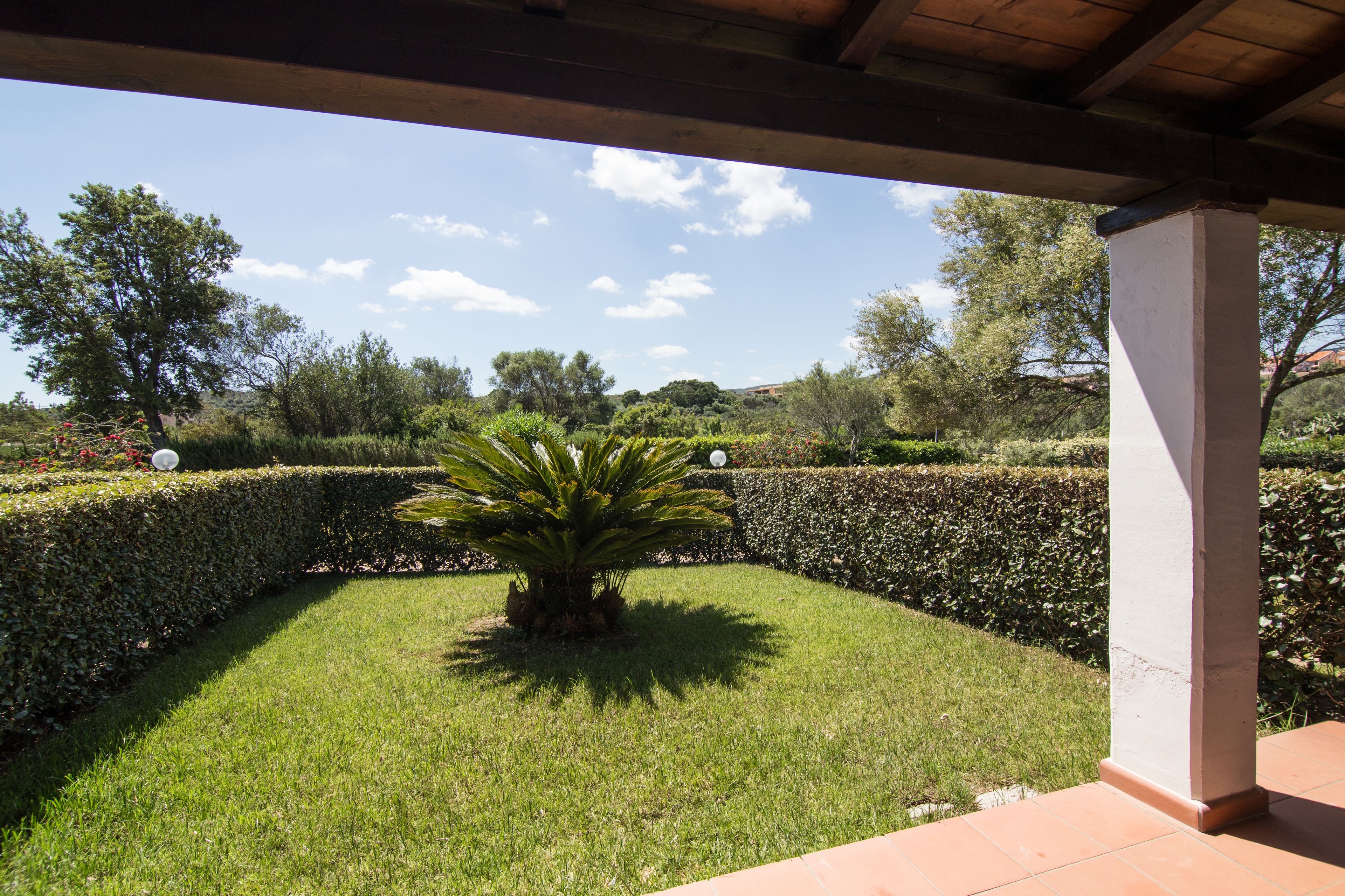 A well-maintained garden with a central palm tree, neatly trimmed hedges, and a clear sky.