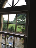 Habitación familiar, baño privado | Vistas desde la habitación