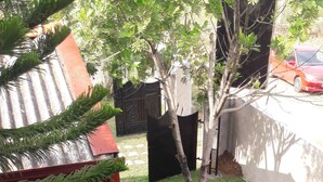 A grassy yard with a small tree, a bush, and a red car parked in the background. - Hotel Blue Moon (Dambulla)