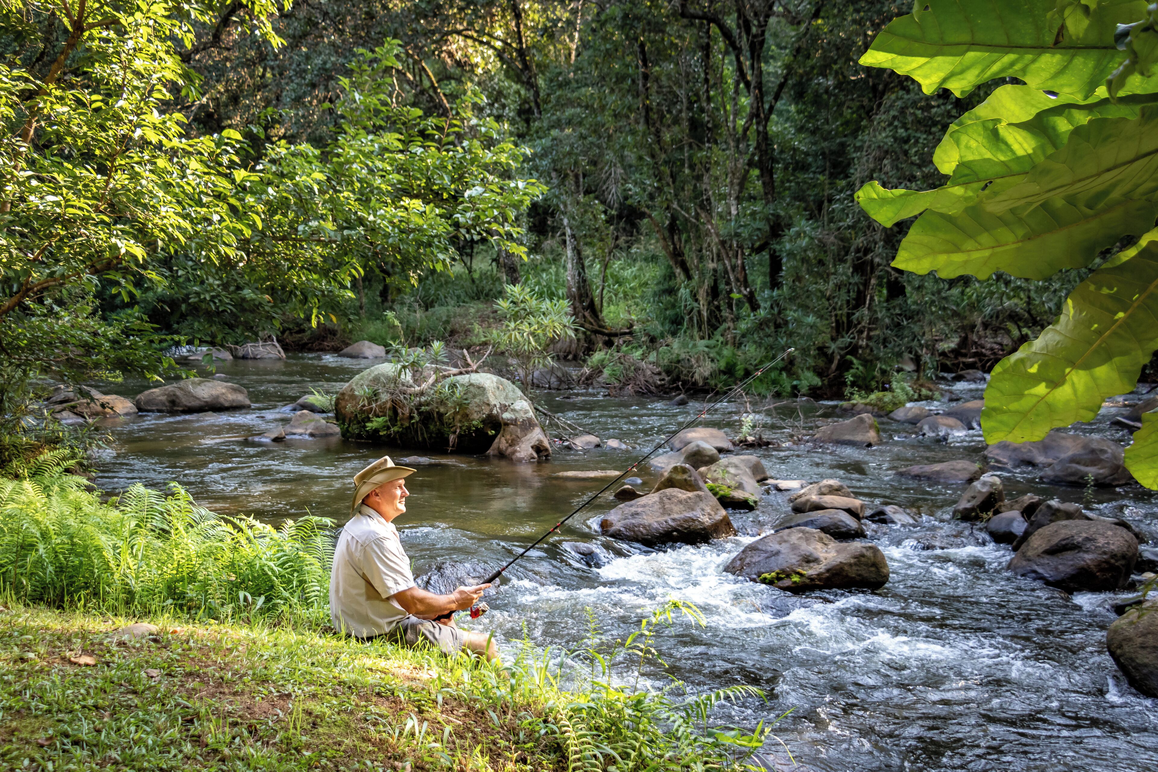 A man fishing by a river surrounded by lush greenery.