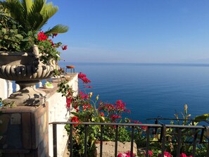 Une balustrade en pierre, surmontée d’un grand vase et agrémentée de plantes en pot, offre une vue imprenable sur une mer d’un bleu profond.