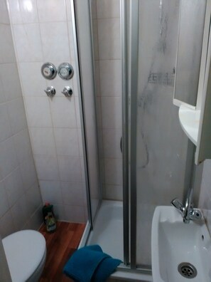 A bathroom with a glass-enclosed shower, a white sink, and a toilet.