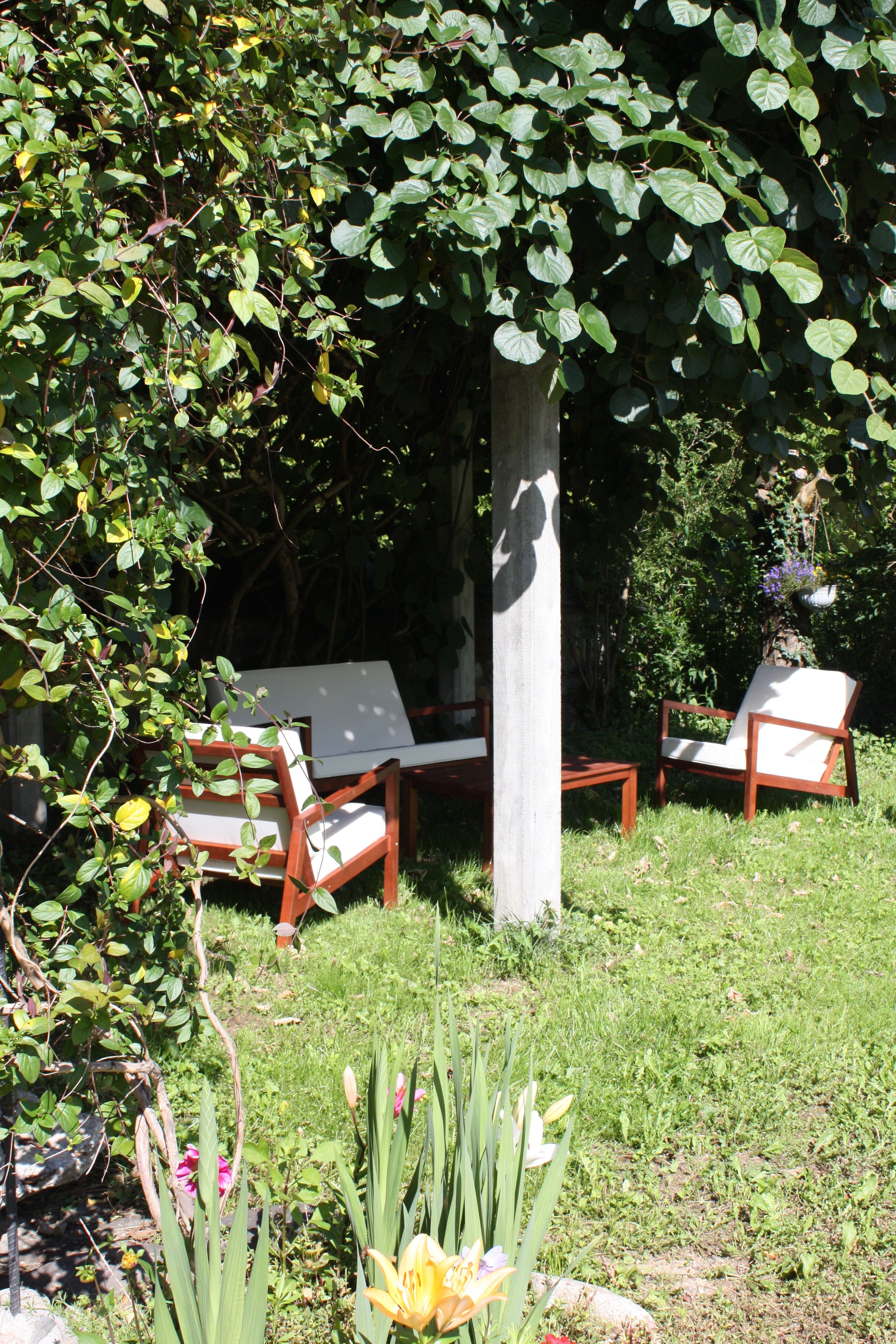 A garden with two wooden chairs and a table, surrounded by lush greenery and flowering plants.