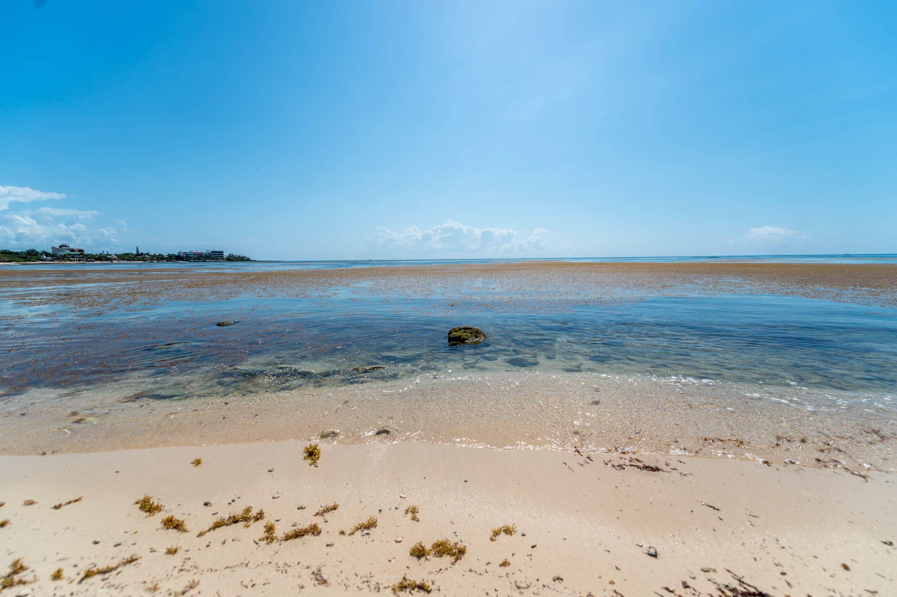A beach with clear water, sandy shore, and distant buildings.
