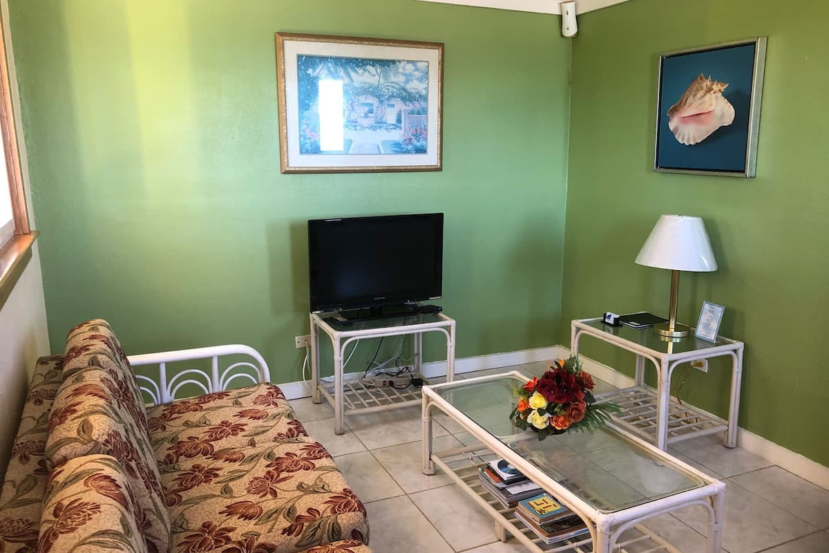 Basic Duplex, 2 Bedrooms, Ocean View, Oceanfront | Living area