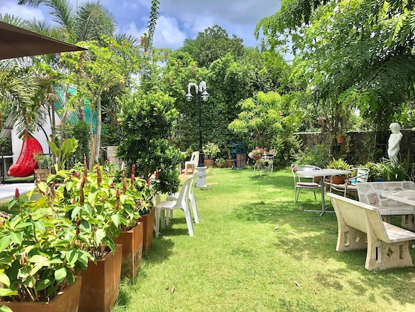 Garden