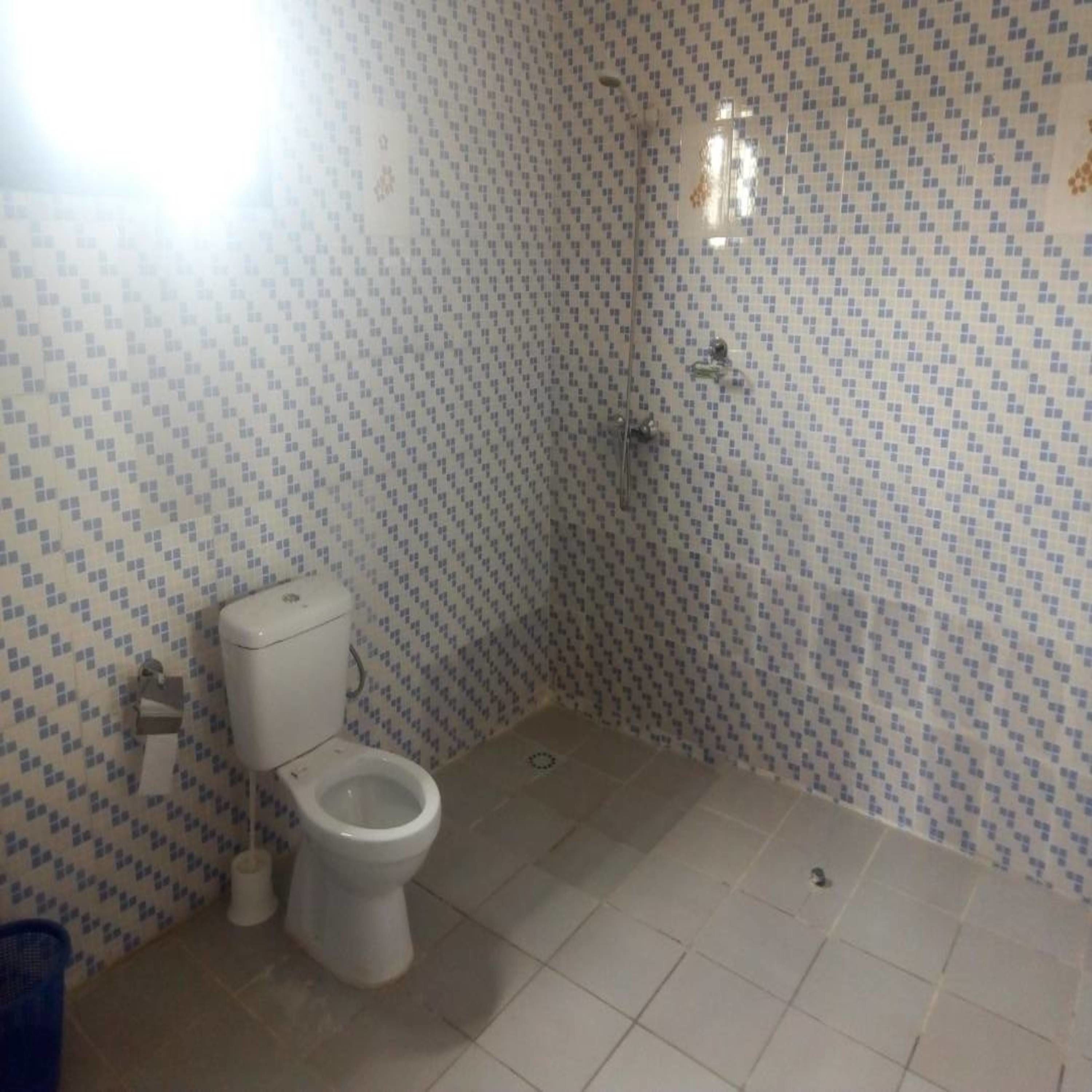 A small bathroom with a toilet, a shower, and tiled walls.