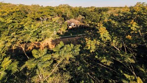 Um cenário rural com uma construção de colmo rodeada por vegetação densa.