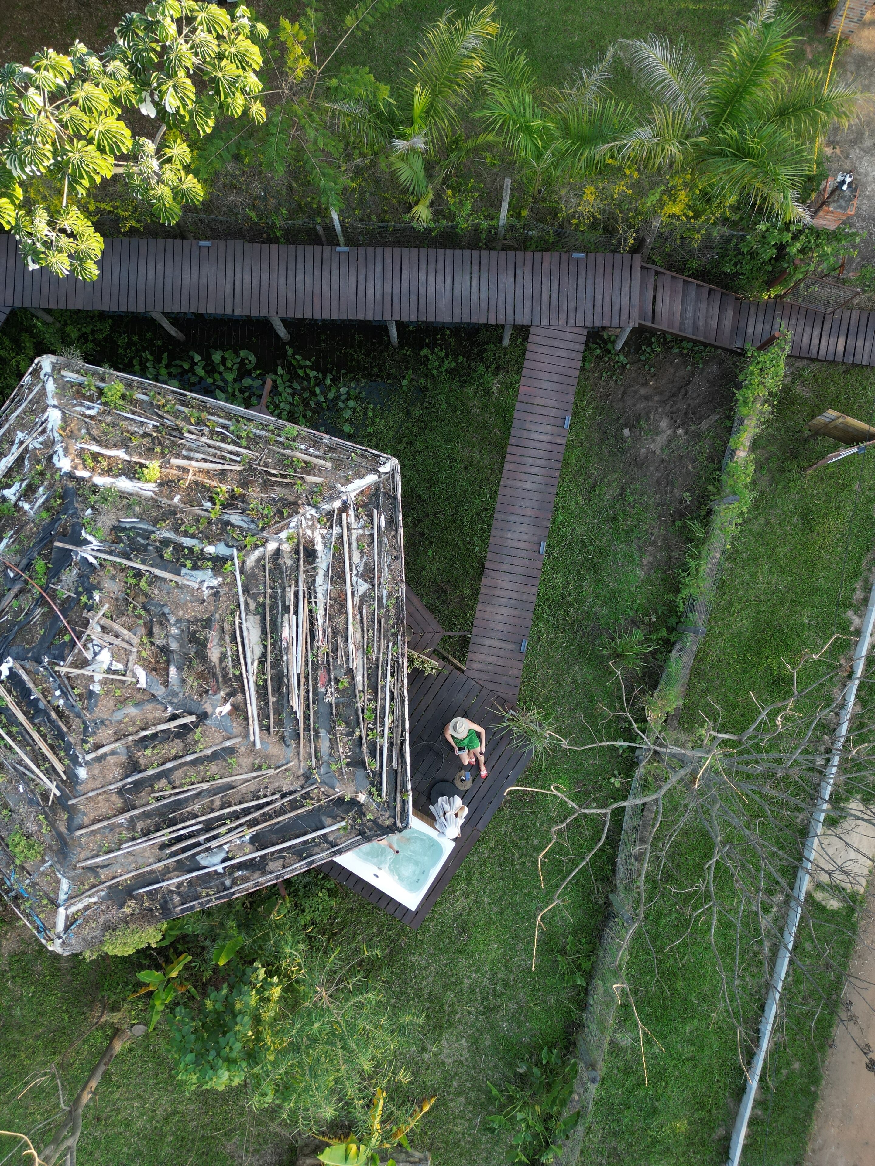 An aerial view of a garden with a glass greenhouse structure, a wooden deck, and a pathway.