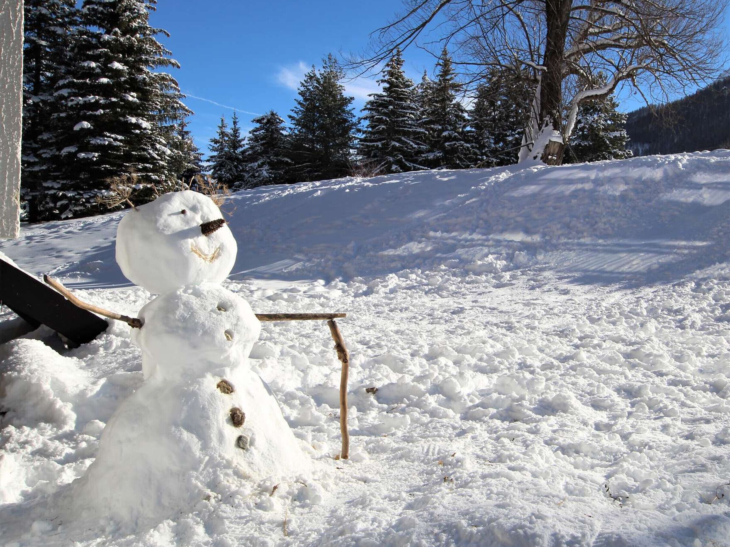Un bonhomme de neige dans un décor extérieur enneigé, avec des arbres en arrière-plan.