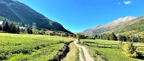 A rural landscape with a dirt path, green fields, and mountains in the background.