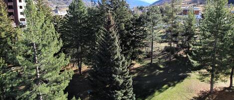 Zona residencial con altos pinos, césped y montañas al fondo.