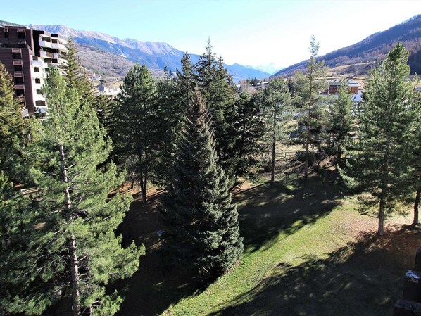 A residential area with tall pine trees, a grassy lawn, and a mountain backdrop.