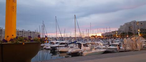 A marina filled with boats at sunset with buildings in the background.