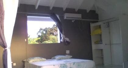 Geräumiges und ruhiges Studio