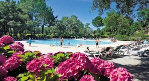 Une piscine entourée d’arbres et de fleurs roses, où l’on peut se baigner et se détendre.
