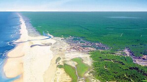 An aerial view of a coastal area with a beach, a river, and a forested region. - Apartment in a residential leisure *** for 4 people (Moliets-Et-Maa)