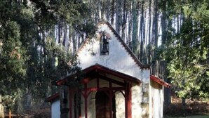 A small, rustic chapel with a white exterior and red accents, surrounded by tall trees. - Apartment in a residential leisure *** for 4 people (Moliets-Et-Maa)