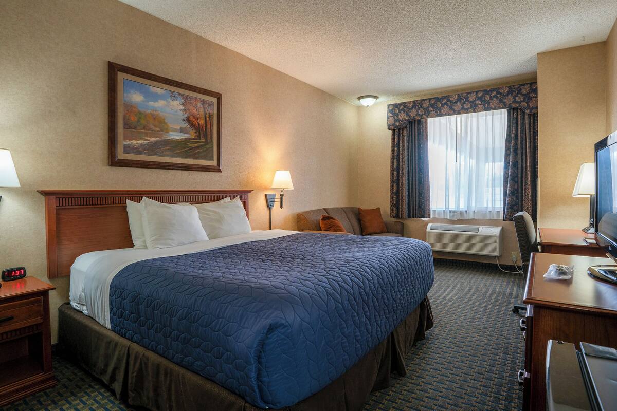 Deluxe Room | Laptop workspace, blackout drapes, iron/ironing board, free WiFi