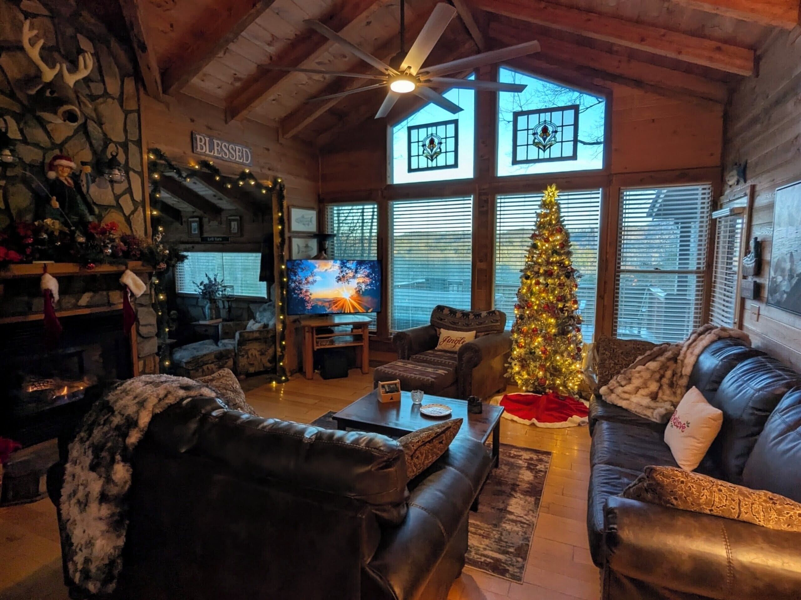 Smart TV, fireplace, DVD player, books