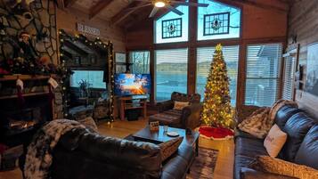 Smart TV, fireplace, DVD player, books