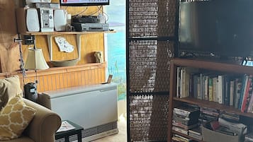 TV, DVD player, books, video library