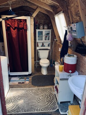Dusche, Haartrockner, Toilettenpapier