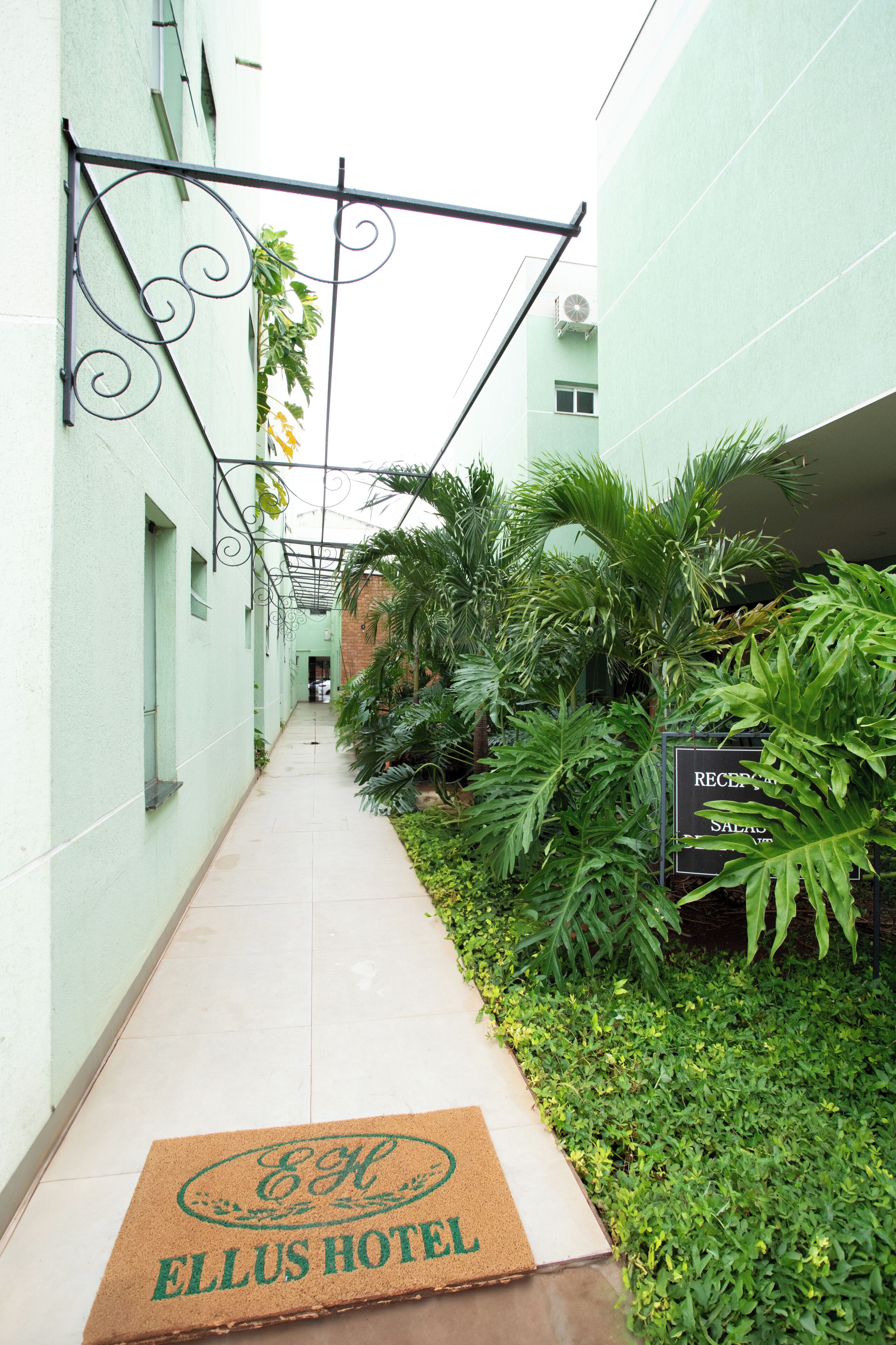 A narrow corridor with a reception sign, a doormat, and lush greenery.