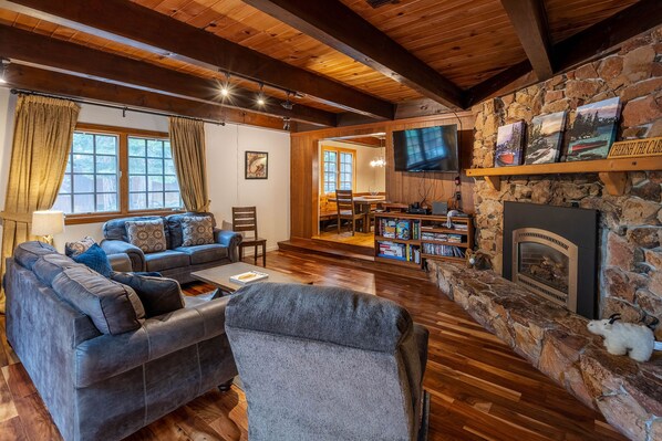 TV, fireplace, video games, DVD player