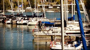 Un port de plaisance où de nombreux bateaux sont amarrés à des quais en bois.