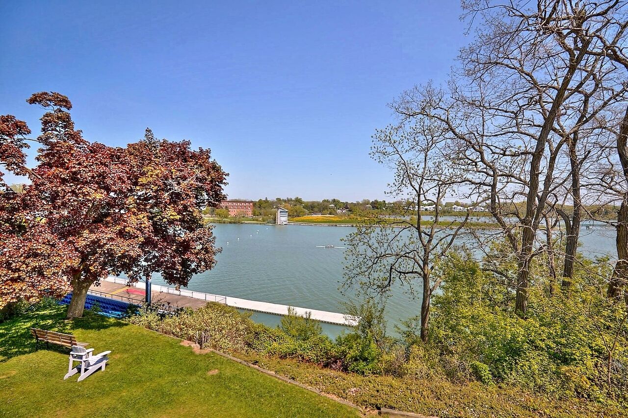 A lakeside view with a dock, benches, and trees.
