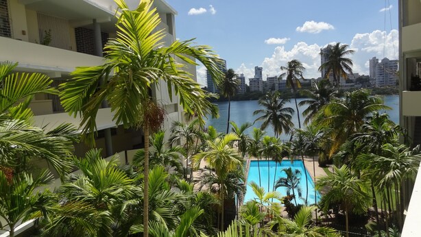 A pool surrounded by palm trees and a cityscape in the background. - Beautiful Condo -Ocean View, Best Location, Pool, Parking & Steps to All U Want (San Juan)