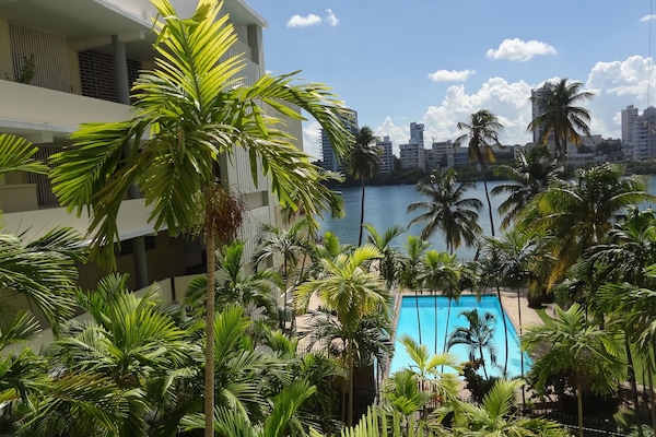 View to the swimming pool, back patio and Condado Lagoon; Sun lounges