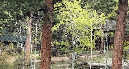 Charming Updated Rustic Cabin. Excellent Location Close to Town and RMNP!