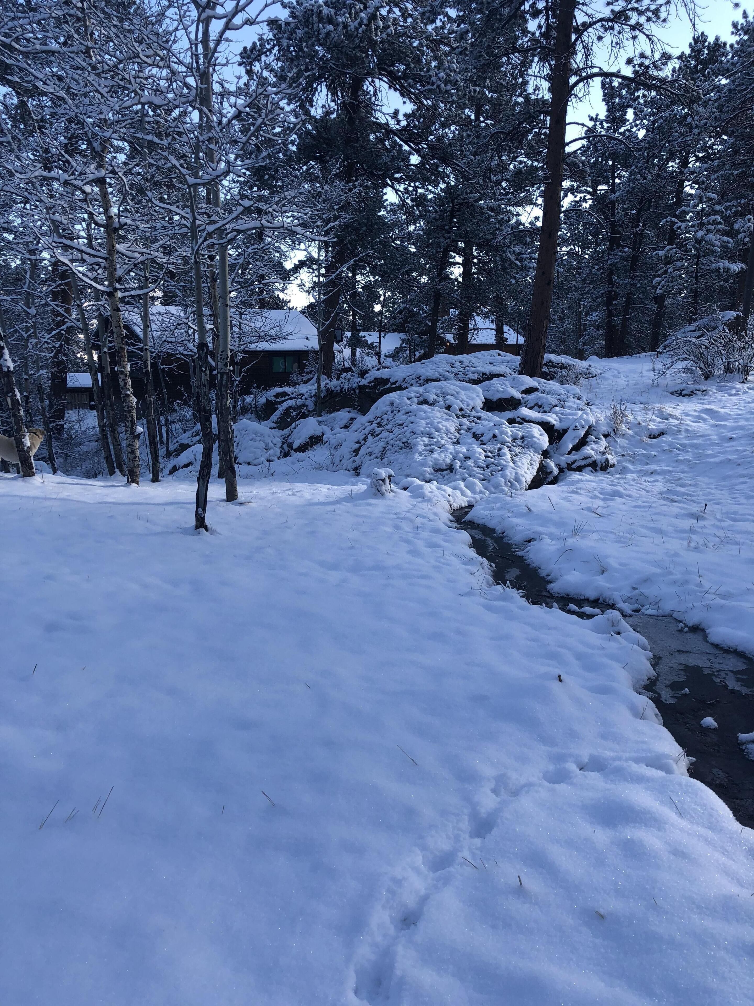 Lumipeitteinen maisema, jossa on puita ja pieni puro.