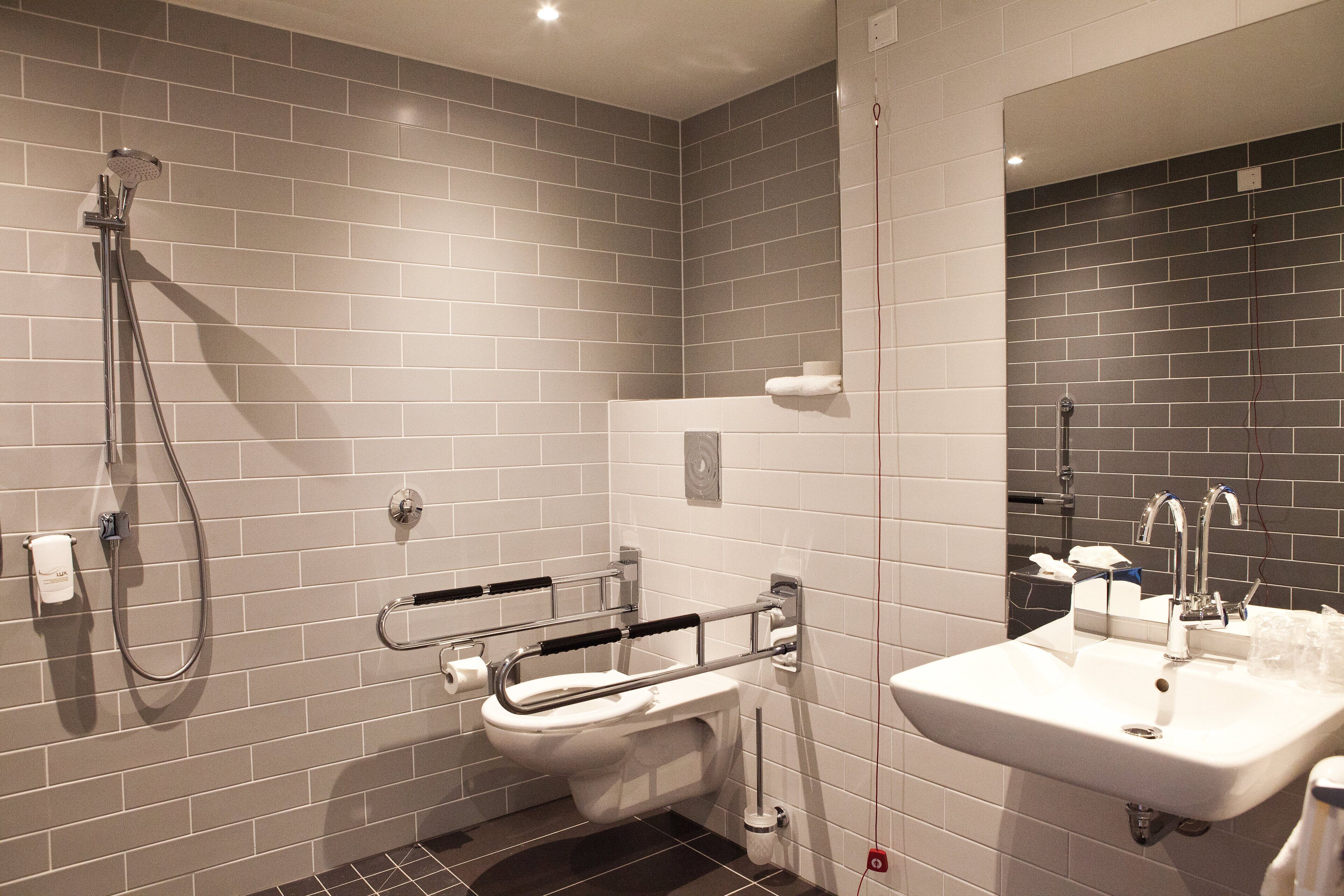 standard room, 1 single bed, accessible | bathroom | shower, rainfall showerhead, free toiletries, hair dryer