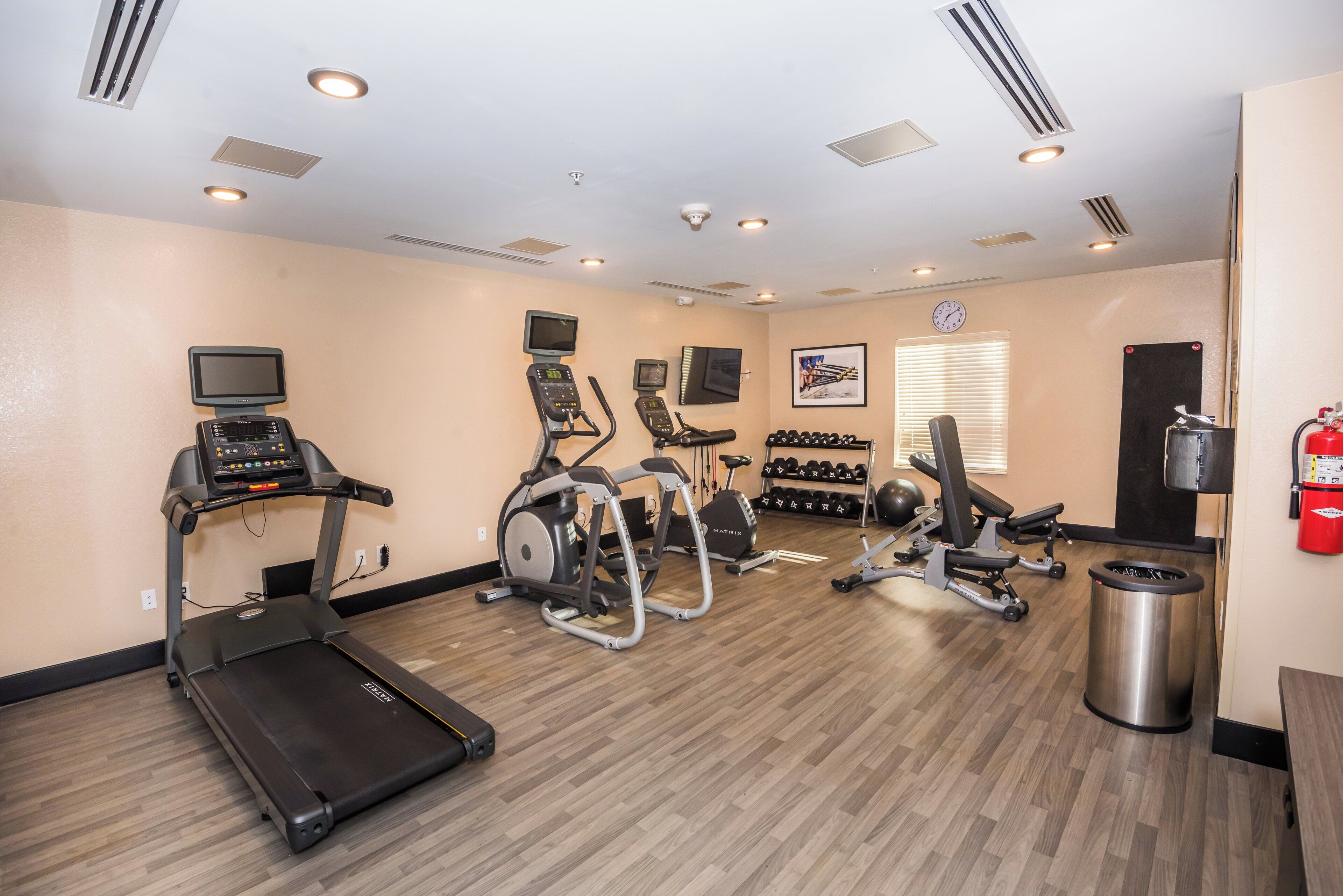 A gym with treadmills, elliptical machines, and weightlifting equipment.