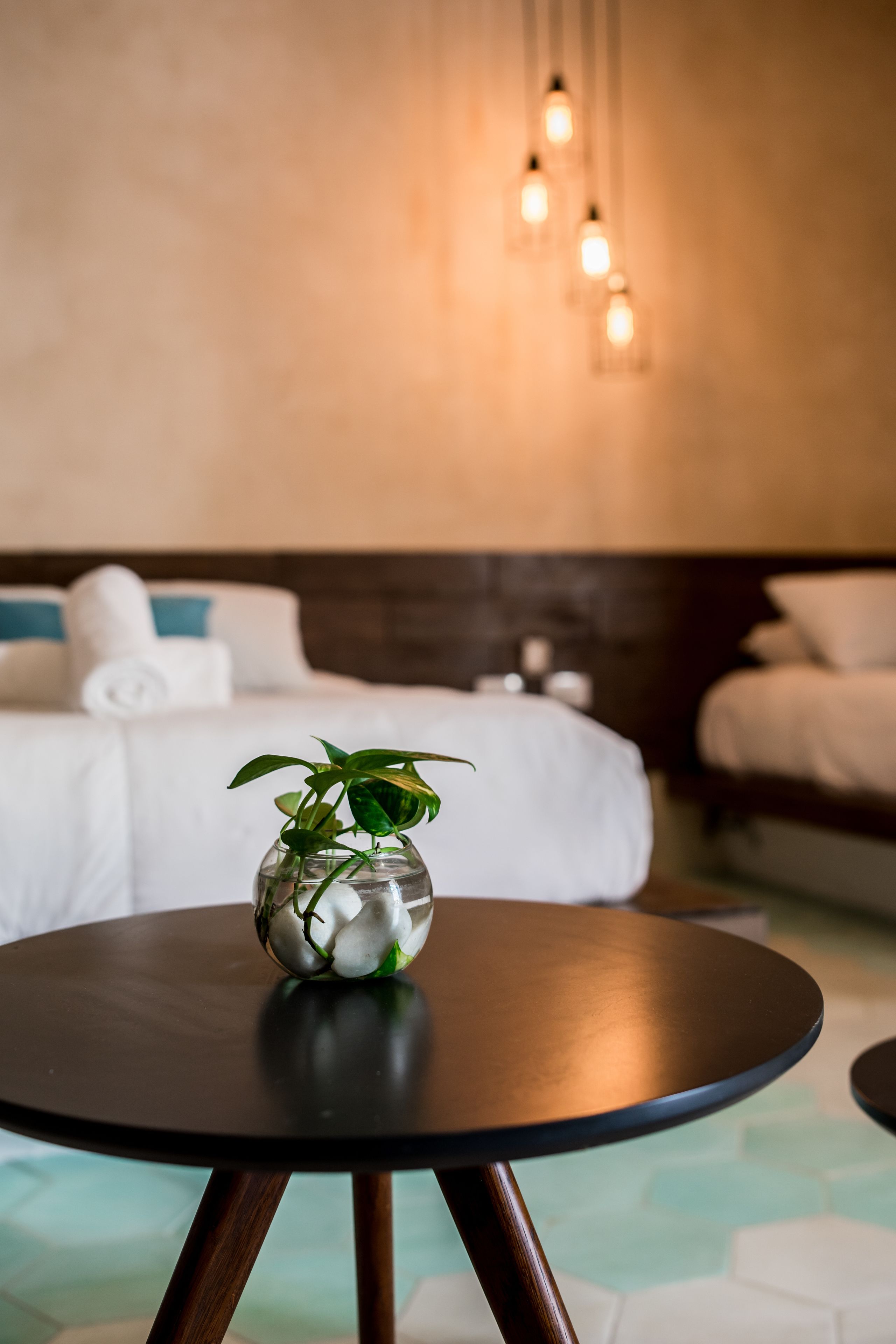 Foto - Hotel Bohonito Holbox