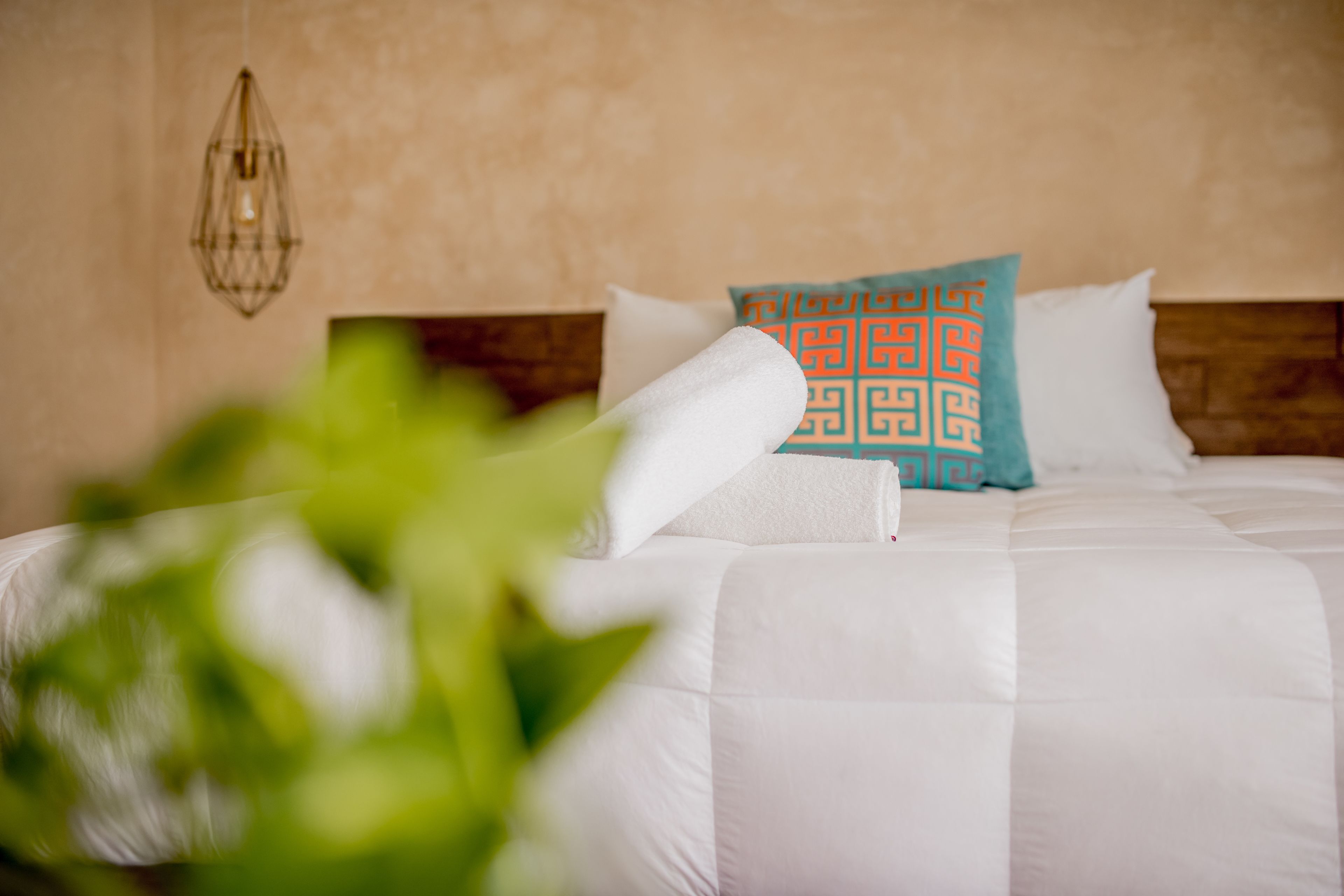 Foto - Hotel Bohonito Holbox