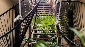 Una escalera caracol con sillas de alambre negras a cada lado, rodeada de exuberante follaje.