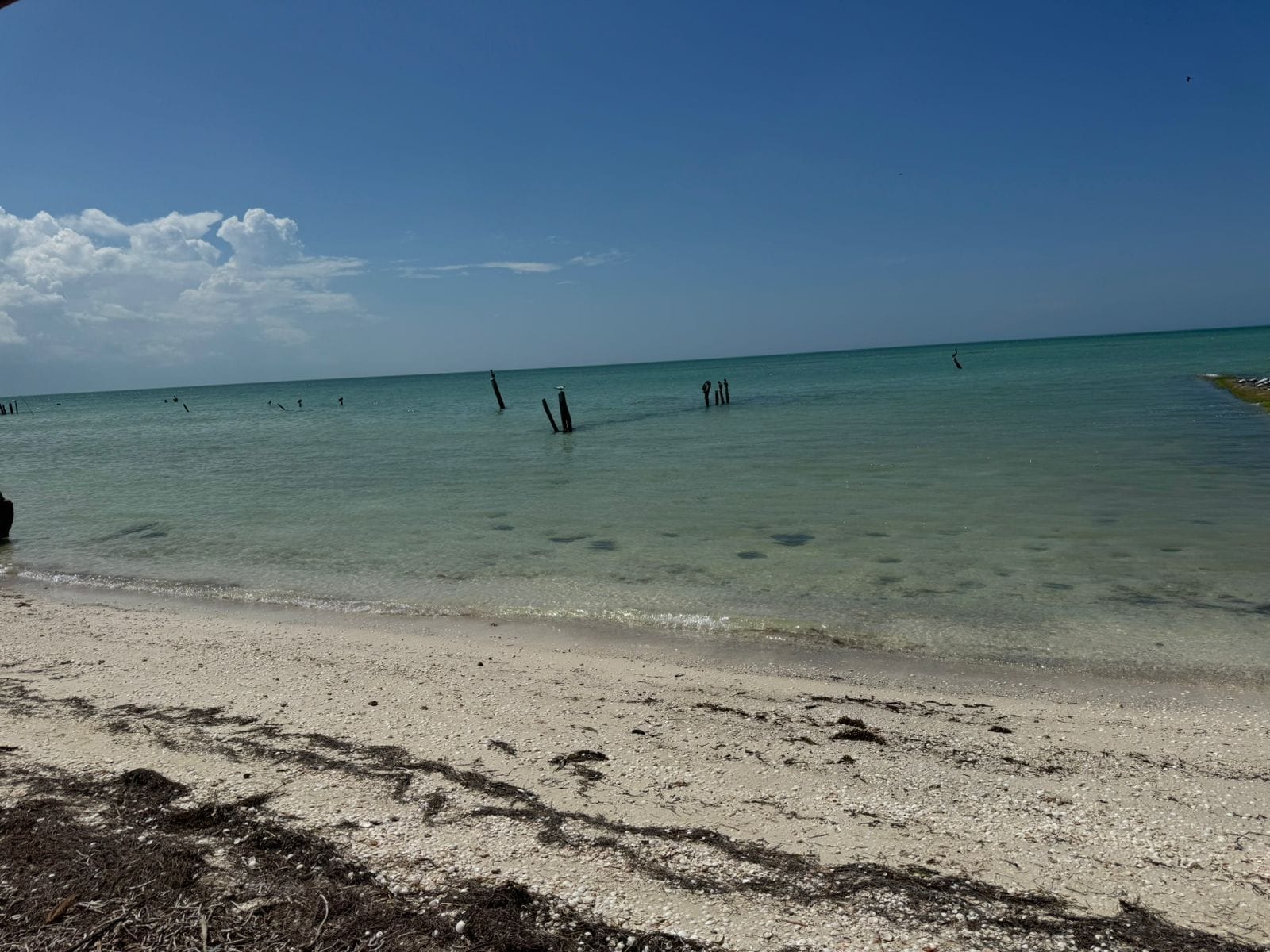 Foto - Hotel Bohonito Holbox
