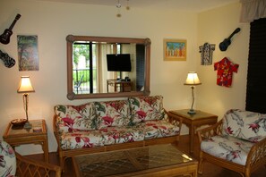 TV, DVD player, books, music library